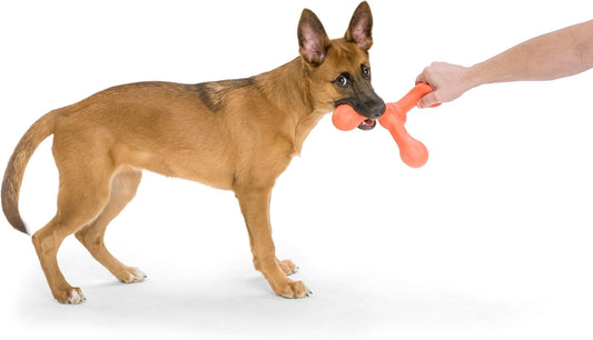 AirFlex Tug & Fetch Dog Toy – Durable Squishy Chew Stick for Interactive Play, Fetch & Tug-of-War, Large 8.5