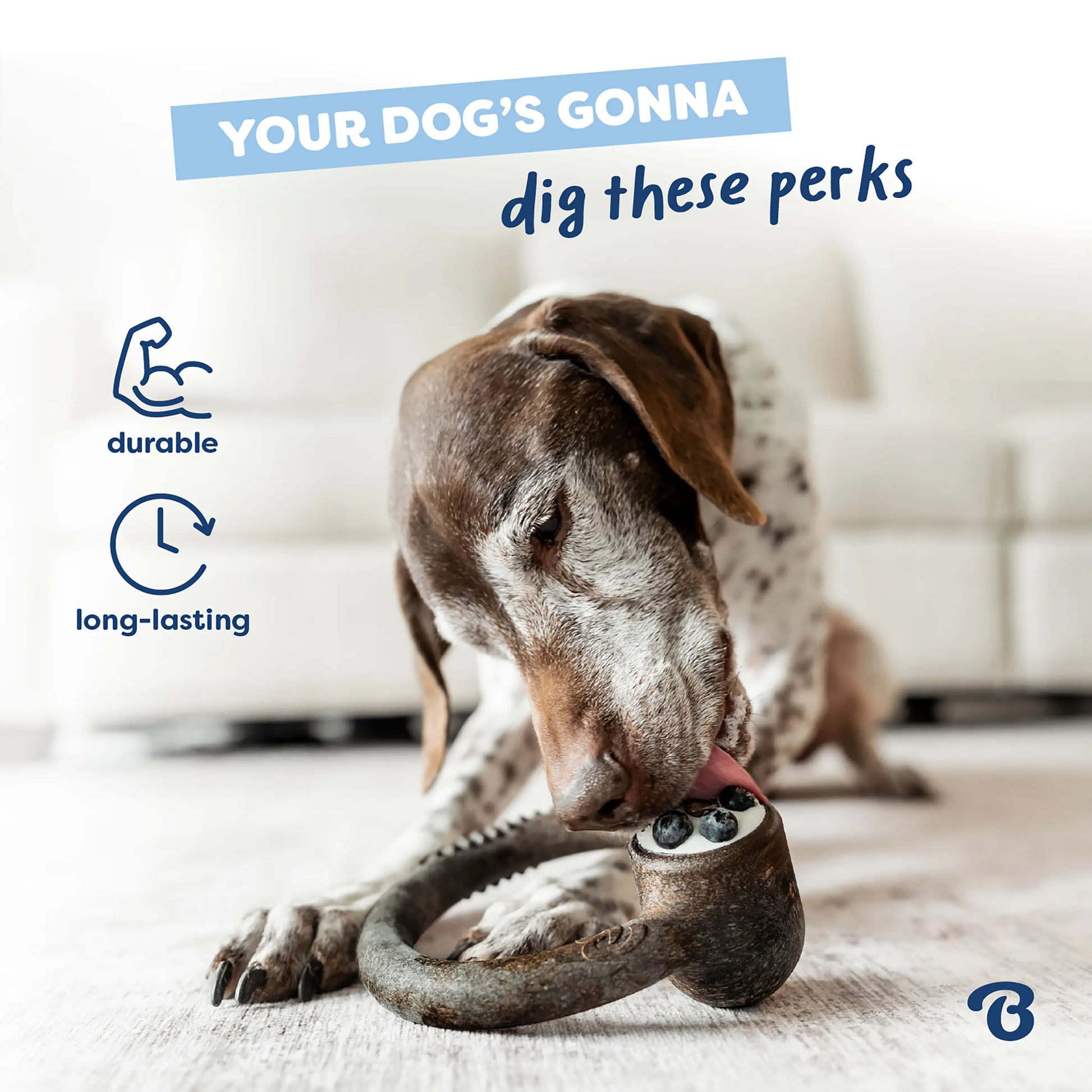 Blueberry Ring | Limited Edition Durable Dog Chew Toy | Long-Lasting Play & Enrichment Toy