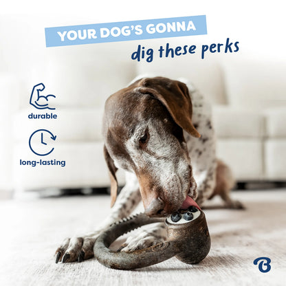 Blueberry Ring | Limited Edition Durable Dog Chew Toy | Long-Lasting Play & Enrichment Toy