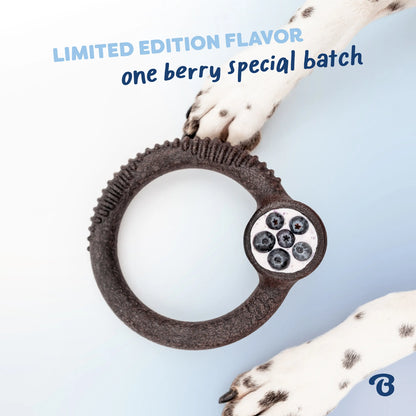 Blueberry Ring | Limited Edition Durable Dog Chew Toy | Long-Lasting Play & Enrichment Toy