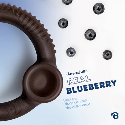 Blueberry Ring | Limited Edition Durable Dog Chew Toy | Long-Lasting Play & Enrichment Toy