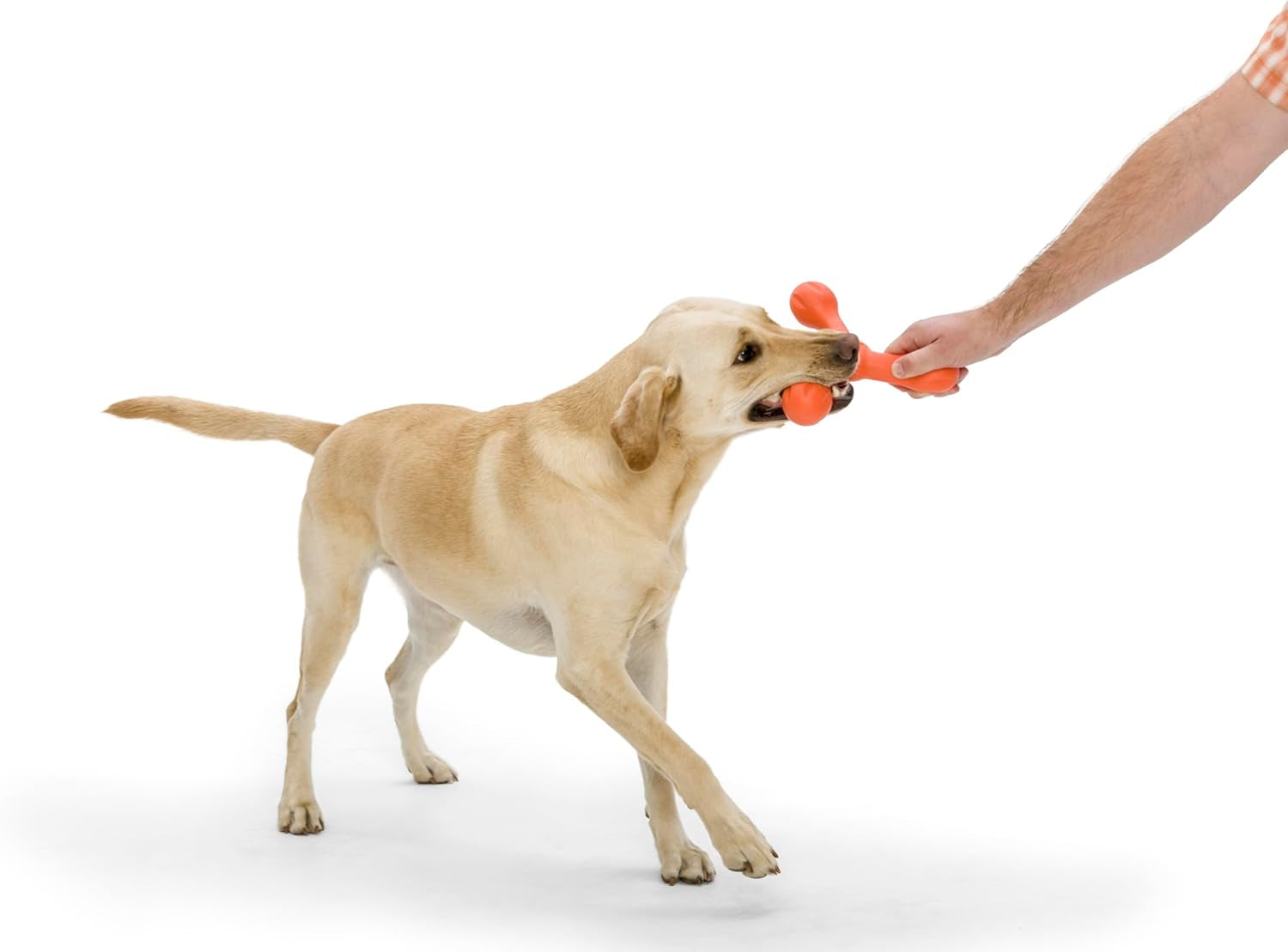 AirFlex Tug & Fetch Dog Toy – Durable Squishy Chew Stick for Interactive Play, Fetch & Tug-of-War, Large 8.5