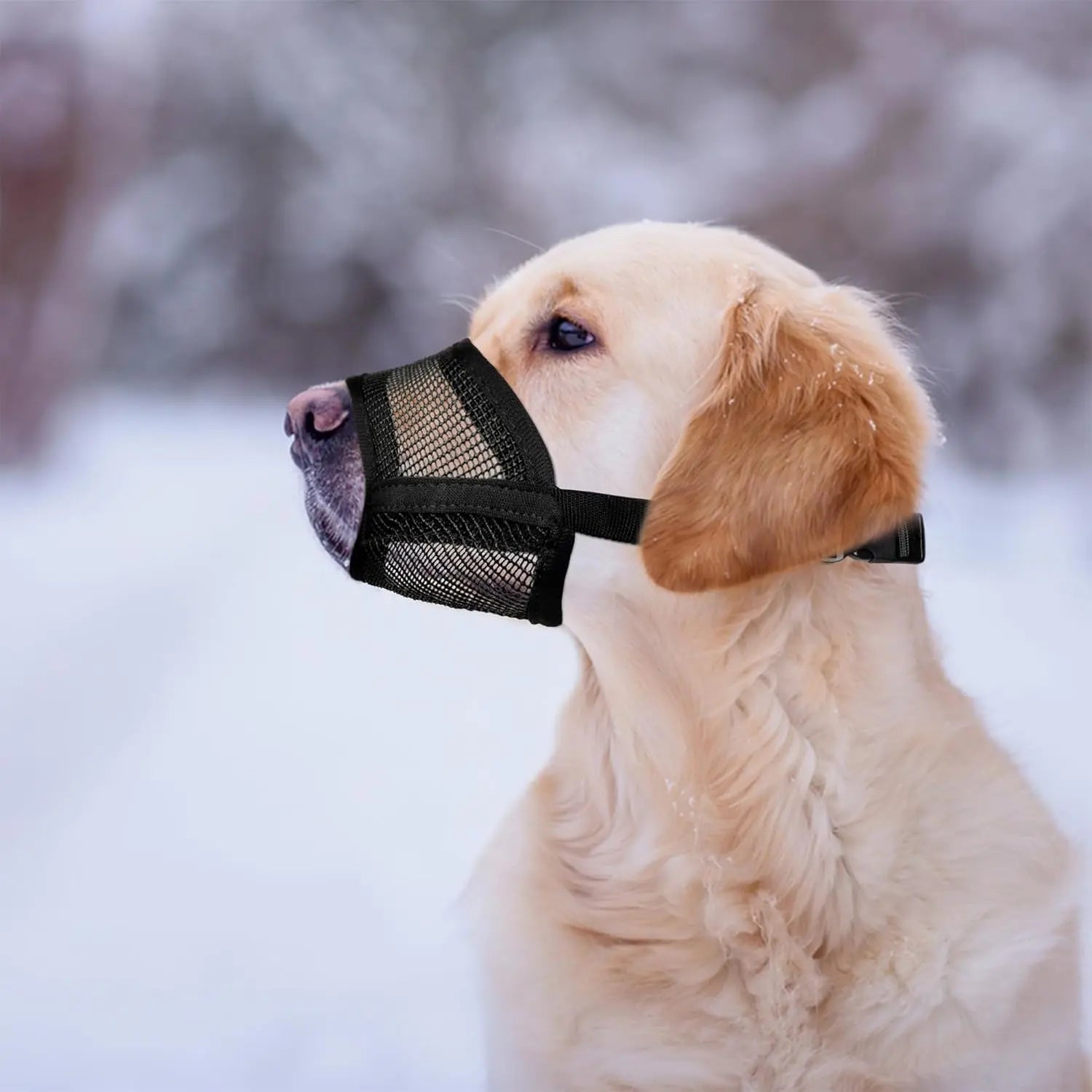 Evollax Dog Muzzle for Large Dogs - Air Mesh Muzzle for Large Sized Dog | Adjustable No Bark Dogs Muzzles for Scavenging Licking & Chewing | Prevent Biting | L 7.9'' - 9.4''