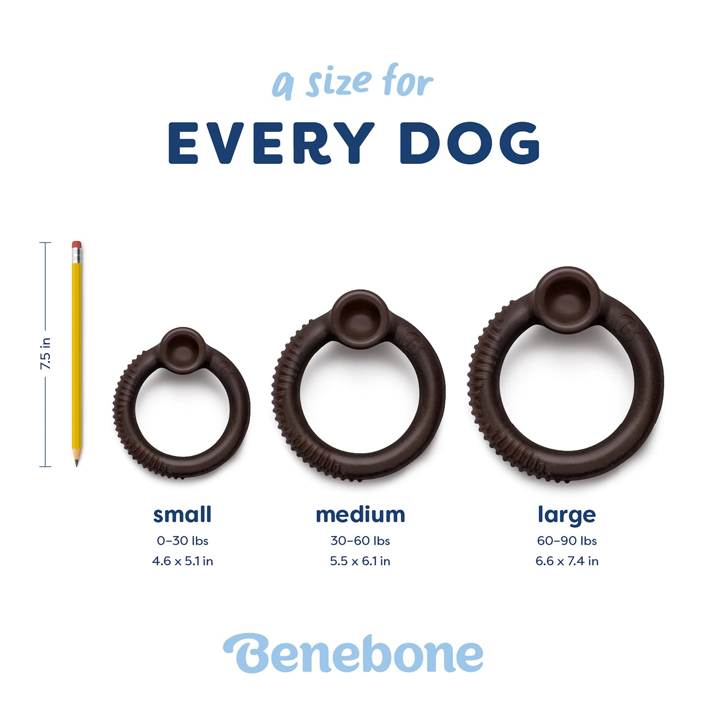 Blueberry Ring | Limited Edition Durable Dog Chew Toy | Long-Lasting Play & Enrichment Toy