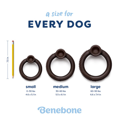 Blueberry Ring | Limited Edition Durable Dog Chew Toy | Long-Lasting Play & Enrichment Toy