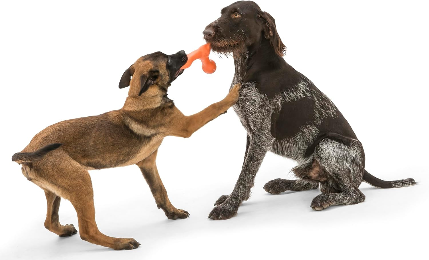 AirFlex Tug & Fetch Dog Toy – Durable Squishy Chew Stick for Interactive Play, Fetch & Tug-of-War, Large 8.5