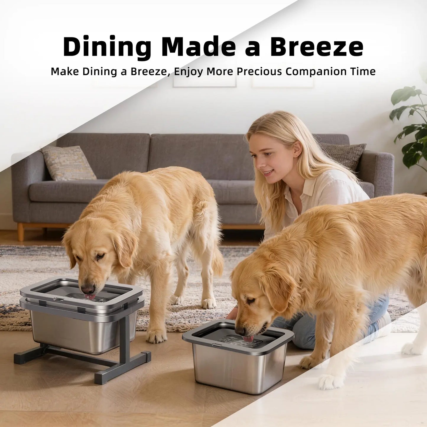 10L Spill-Proof Dog Water Bowl, Elevated Stainless Steel Anti-Splash Slow Water Feeder for Large Dogs
