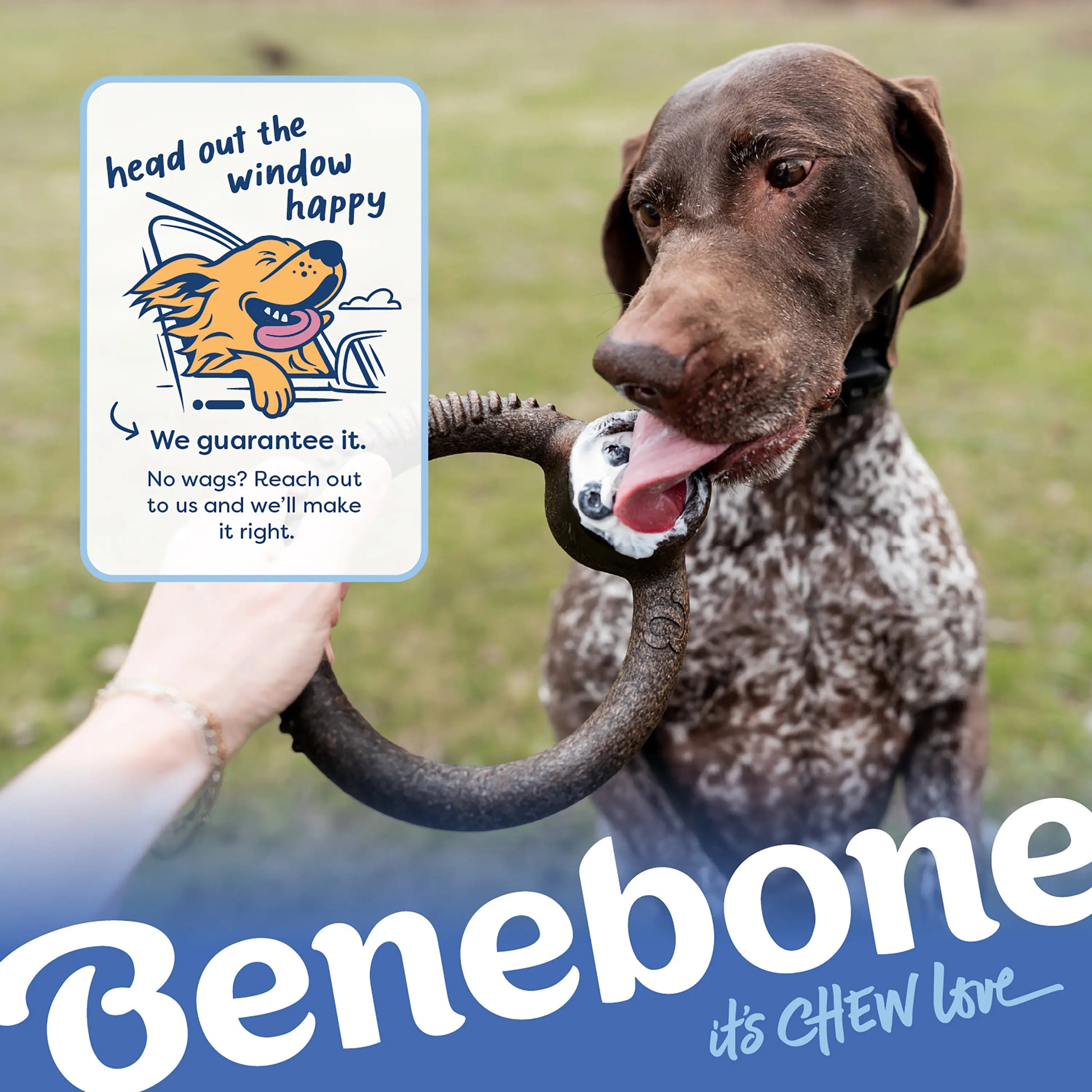 Blueberry Ring | Limited Edition Durable Dog Chew Toy | Long-Lasting Play & Enrichment Toy