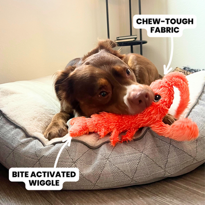 Wiggly Lobster Dog Toy