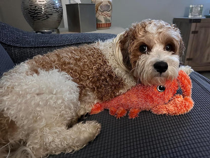 Wiggly Lobster Dog Toy